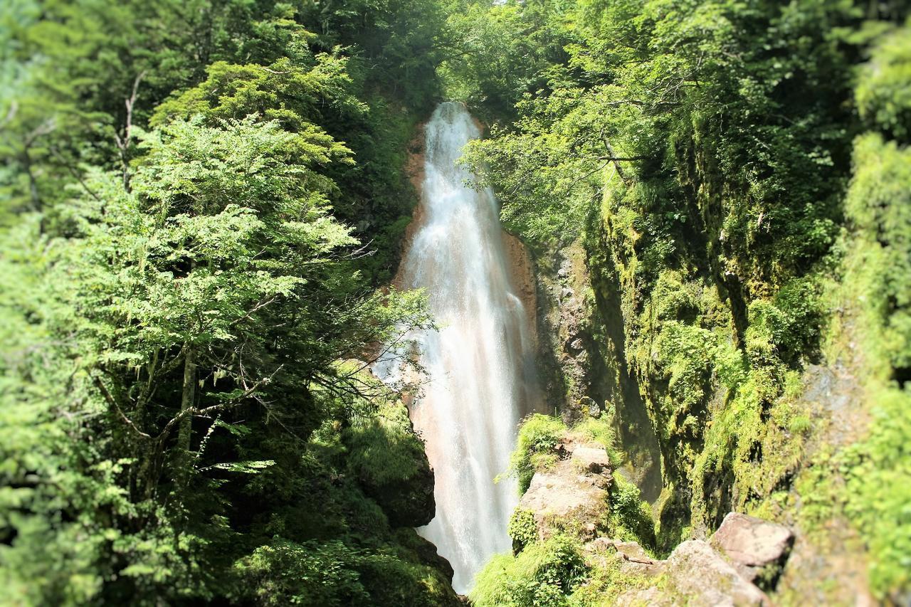 松本水之美阿尔卑斯旅馆别墅 外观 照片